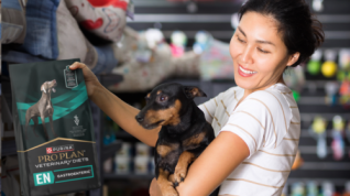 Choosing a Pet Food